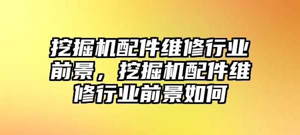 挖掘機配件維修行業(yè)前景，挖掘機配件維修行業(yè)前景如何