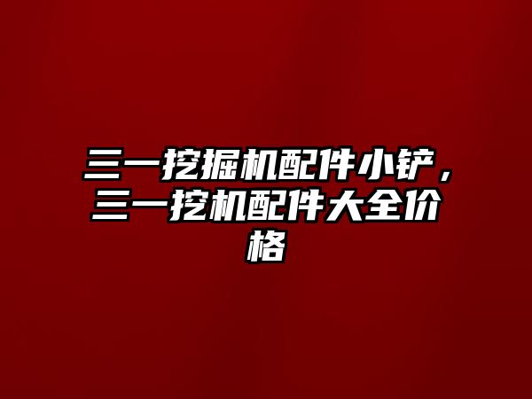 三一挖掘機(jī)配件小鏟，三一挖機(jī)配件大全價(jià)格