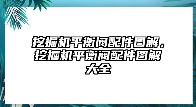 挖掘機(jī)平衡閥配件圖解，挖掘機(jī)平衡閥配件圖解大全