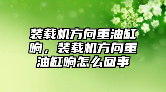 裝載機(jī)方向重油缸響，裝載機(jī)方向重油缸響怎么回事