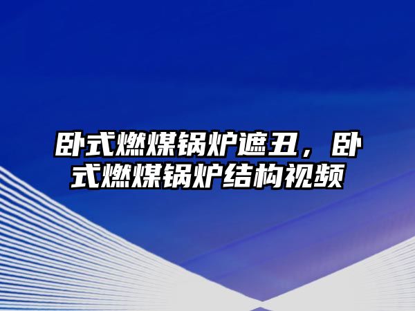 臥式燃煤鍋爐遮丑，臥式燃煤鍋爐結(jié)構(gòu)視頻