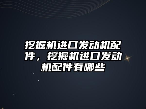 挖掘機進口發(fā)動機配件，挖掘機進口發(fā)動機配件有哪些