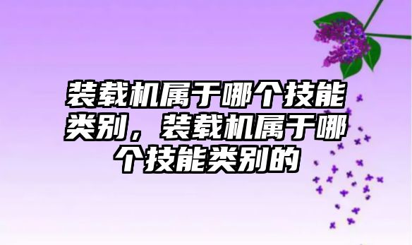 裝載機屬于哪個技能類別，裝載機屬于哪個技能類別的