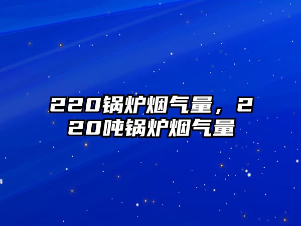 220鍋爐煙氣量，220噸鍋爐煙氣量