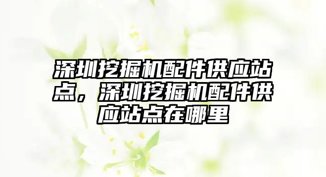 深圳挖掘機配件供應(yīng)站點，深圳挖掘機配件供應(yīng)站點在哪里