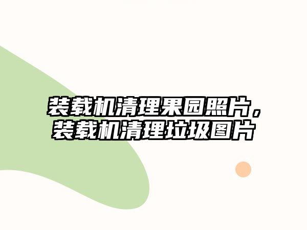 裝載機清理果園照片，裝載機清理垃圾圖片