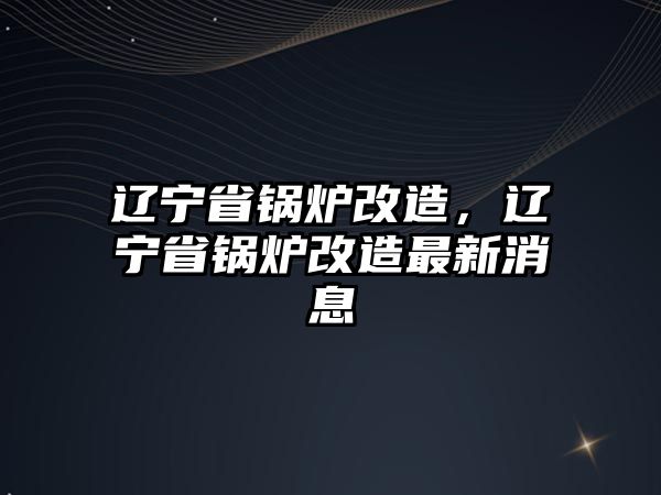 遼寧省鍋爐改造，遼寧省鍋爐改造最新消息