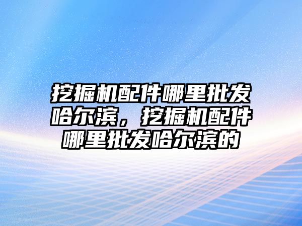 挖掘機配件哪里批發(fā)哈爾濱，挖掘機配件哪里批發(fā)哈爾濱的