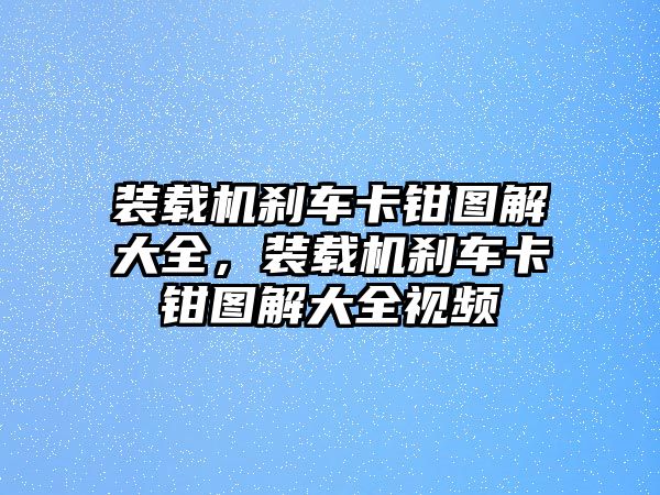 裝載機剎車卡鉗圖解大全，裝載機剎車卡鉗圖解大全視頻