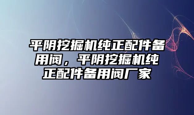 平陰挖掘機純正配件備用閥，平陰挖掘機純正配件備用閥廠家