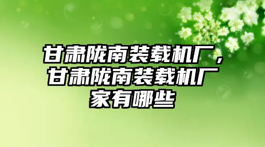 甘肅隴南裝載機廠，甘肅隴南裝載機廠家有哪些