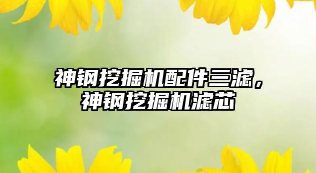 神鋼挖掘機配件三濾，神鋼挖掘機濾芯