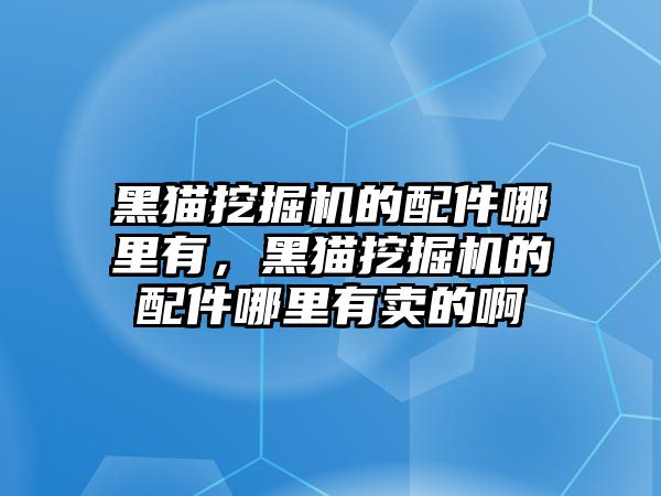 黑貓挖掘機(jī)的配件哪里有，黑貓挖掘機(jī)的配件哪里有賣的啊