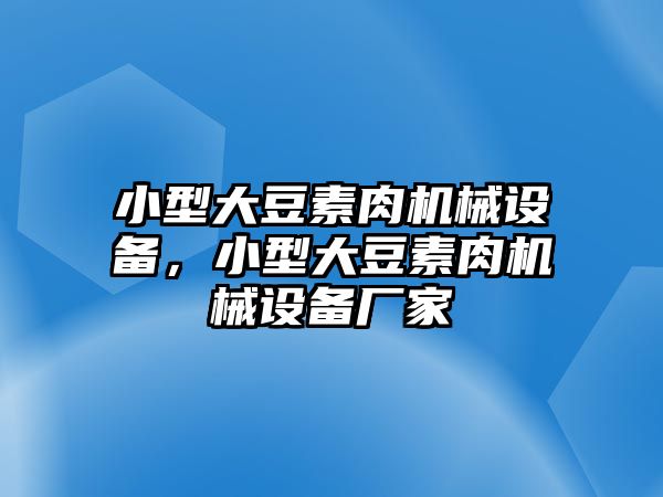 小型大豆素肉機(jī)械設(shè)備，小型大豆素肉機(jī)械設(shè)備廠家