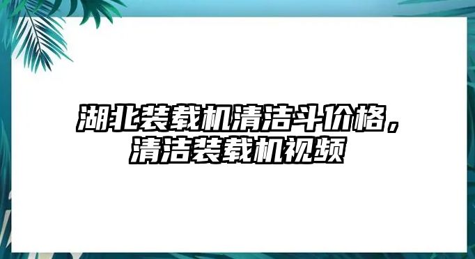 湖北裝載機清潔斗價格，清潔裝載機視頻