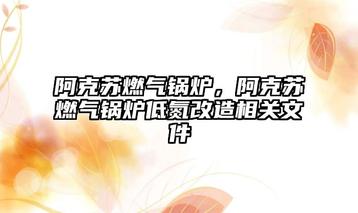 阿克蘇燃?xì)忮仩t，阿克蘇燃?xì)忮仩t低氮改造相關(guān)文件