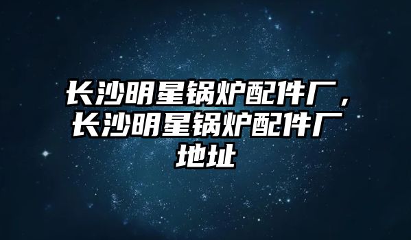 長(zhǎng)沙明星鍋爐配件廠，長(zhǎng)沙明星鍋爐配件廠地址