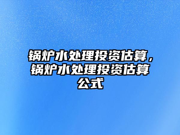 鍋爐水處理投資估算，鍋爐水處理投資估算公式