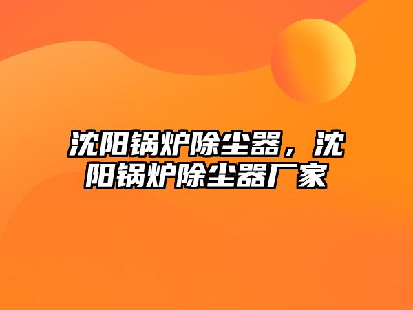 沈陽(yáng)鍋爐除塵器，沈陽(yáng)鍋爐除塵器廠家