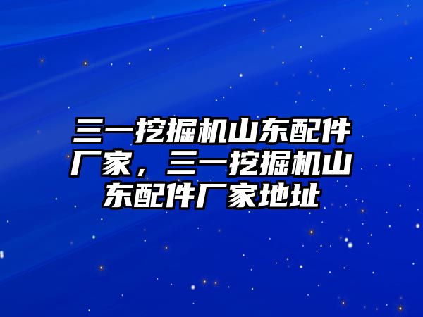 三一挖掘機山東配件廠家，三一挖掘機山東配件廠家地址