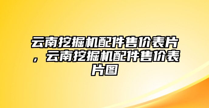 云南挖掘機配件售價表片，云南挖掘機配件售價表片圖