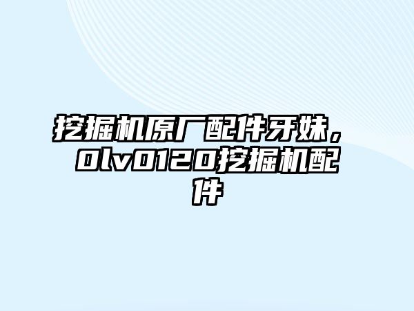 挖掘機原廠配件牙妹，ⅴ0lv0120挖掘機配件