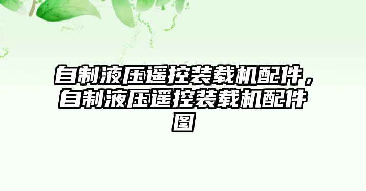 自制液壓遙控裝載機配件，自制液壓遙控裝載機配件圖