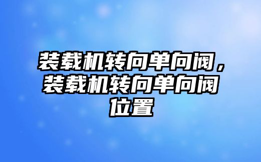 裝載機轉向單向閥，裝載機轉向單向閥位置