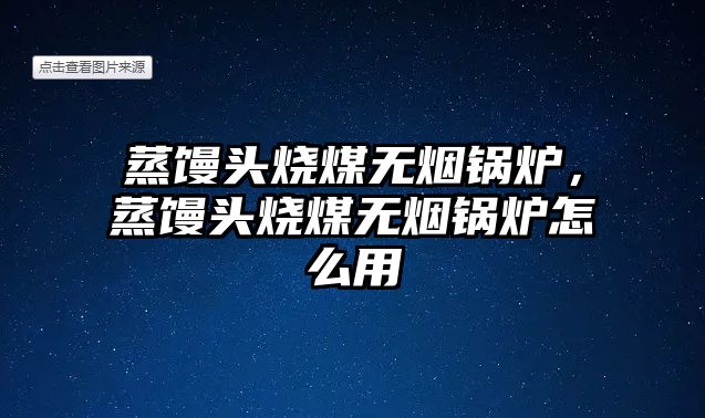 蒸饅頭燒煤無煙鍋爐，蒸饅頭燒煤無煙鍋爐怎么用