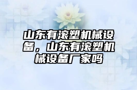 山東有滾塑機(jī)械設(shè)備，山東有滾塑機(jī)械設(shè)備廠家嗎