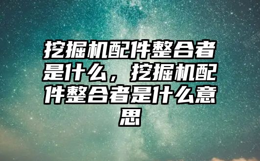 挖掘機(jī)配件整合者是什么，挖掘機(jī)配件整合者是什么意思