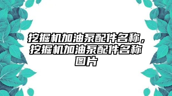 挖掘機(jī)加油泵配件名稱，挖掘機(jī)加油泵配件名稱圖片