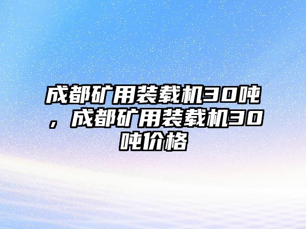 成都礦用裝載機30噸，成都礦用裝載機30噸價格