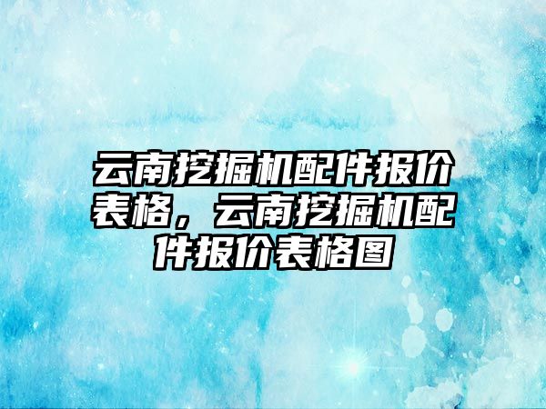 云南挖掘機配件報價表格，云南挖掘機配件報價表格圖