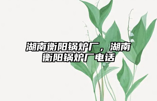 湖南衡陽(yáng)鍋爐廠，湖南衡陽(yáng)鍋爐廠電話