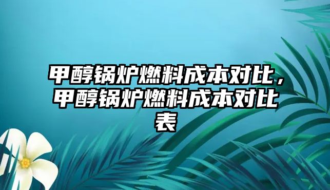 甲醇鍋爐燃料成本對比，甲醇鍋爐燃料成本對比表