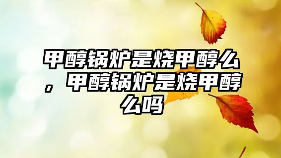 甲醇鍋爐是燒甲醇么，甲醇鍋爐是燒甲醇么嗎