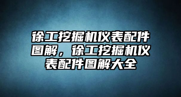 徐工挖掘機(jī)儀表配件圖解，徐工挖掘機(jī)儀表配件圖解大全