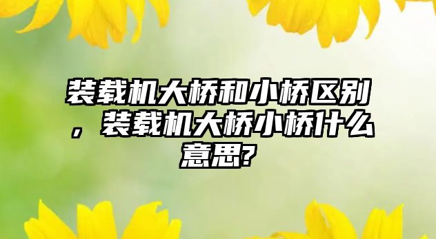 裝載機大橋和小橋區(qū)別，裝載機大橋小橋什么意思?