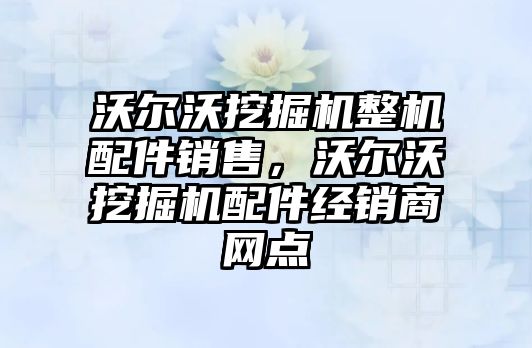 沃爾沃挖掘機整機配件銷售，沃爾沃挖掘機配件經(jīng)銷商網(wǎng)點