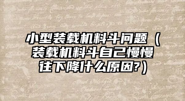 小型裝載機(jī)料斗問(wèn)題（裝載機(jī)料斗自己慢慢往下降什么原因?）