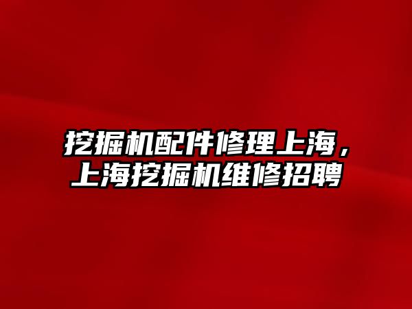 挖掘機配件修理上海，上海挖掘機維修招聘