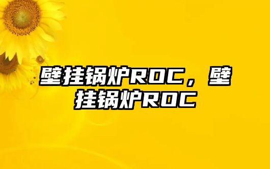 壁掛鍋爐ROC，壁掛鍋爐ROC