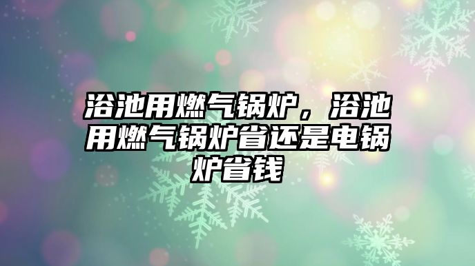 浴池用燃氣鍋爐，浴池用燃氣鍋爐省還是電鍋爐省錢