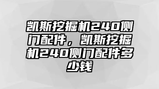 凱斯挖掘機(jī)240側(cè)門(mén)配件，凱斯挖掘機(jī)240側(cè)門(mén)配件多少錢(qián)