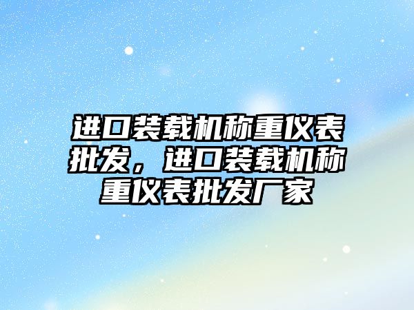 進口裝載機稱重儀表批發(fā)，進口裝載機稱重儀表批發(fā)廠家