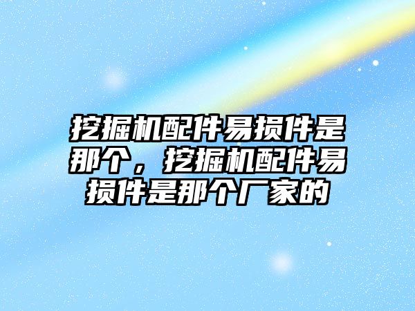 挖掘機配件易損件是那個，挖掘機配件易損件是那個廠家的