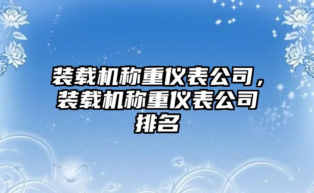 裝載機(jī)稱重儀表公司，裝載機(jī)稱重儀表公司排名