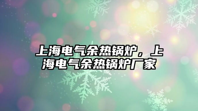 上海電氣余熱鍋爐，上海電氣余熱鍋爐廠家