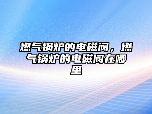 燃?xì)忮仩t的電磁閥，燃?xì)忮仩t的電磁閥在哪里